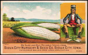 iowa corn