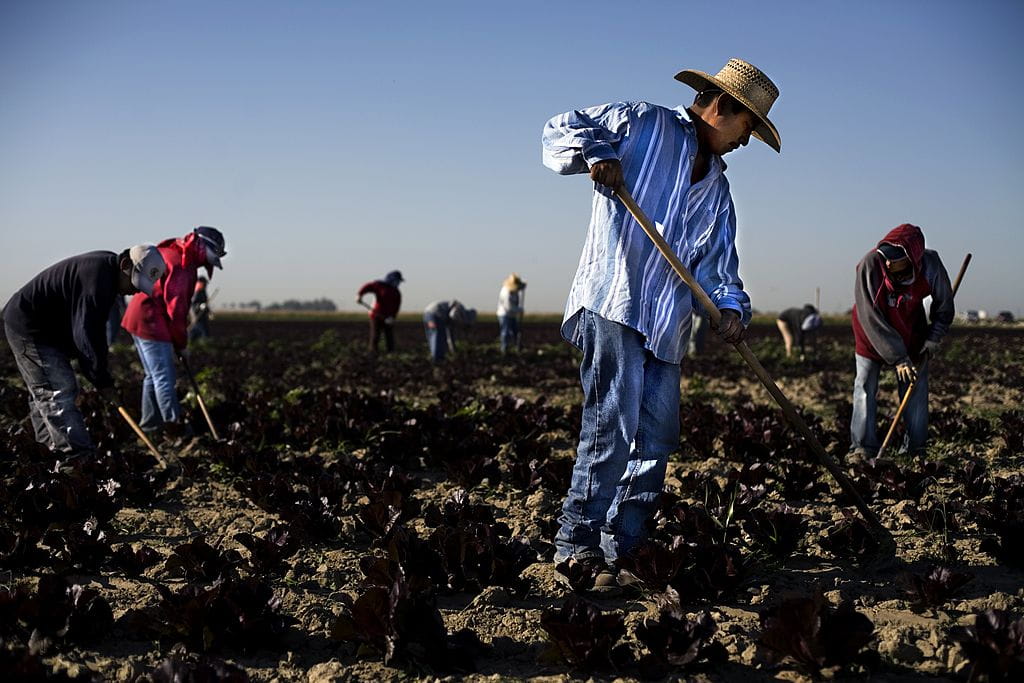 As Anti-ICE Protests Rage, Illegal Alien Labor Abuses Thrive - Liberty ...