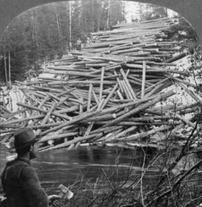 maine logging