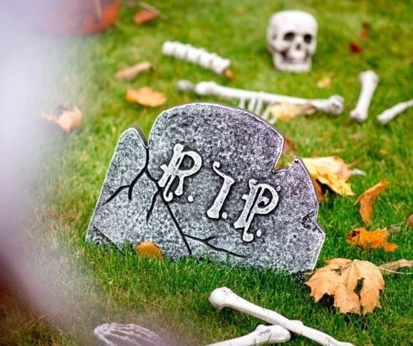 Was Rip RIP Wokeness, We Hardly Knew Ye - Liberty Nation News
