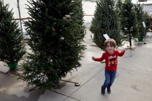 GettyImages-1237401992 Christmas trees