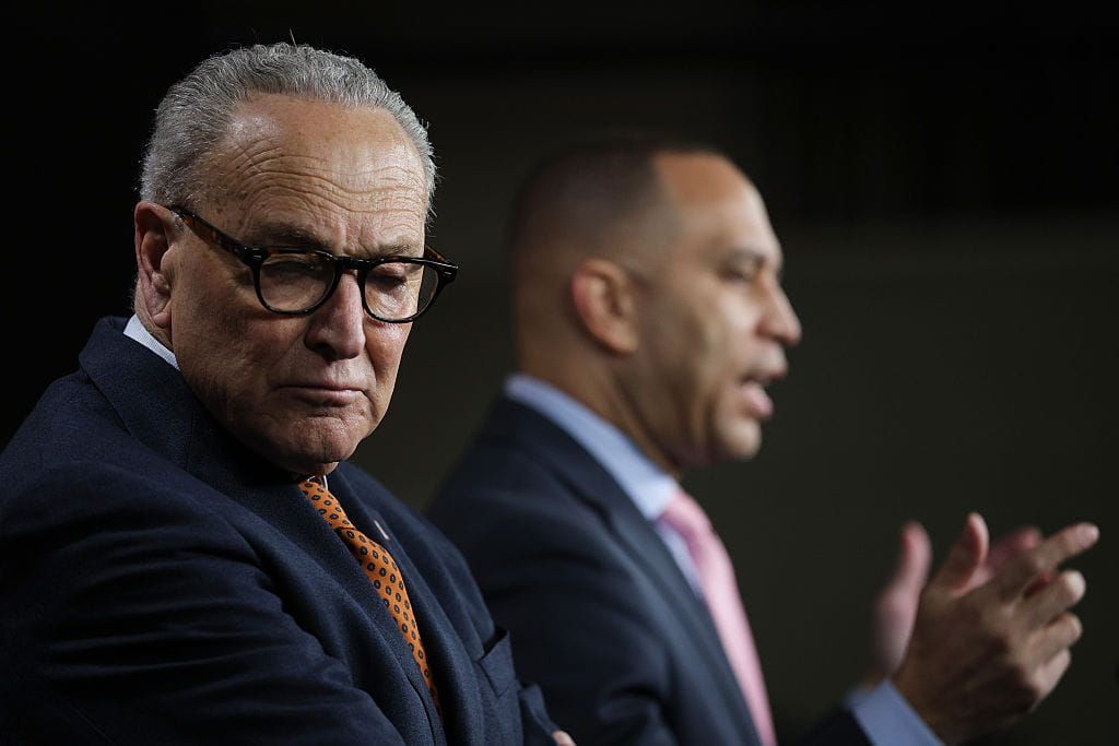 The New Democrats: Rebels Without a Caucus