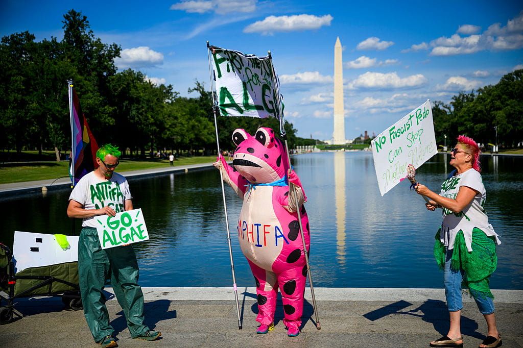 What the Reflecting Pool Saga Says About President Trump’s Haters