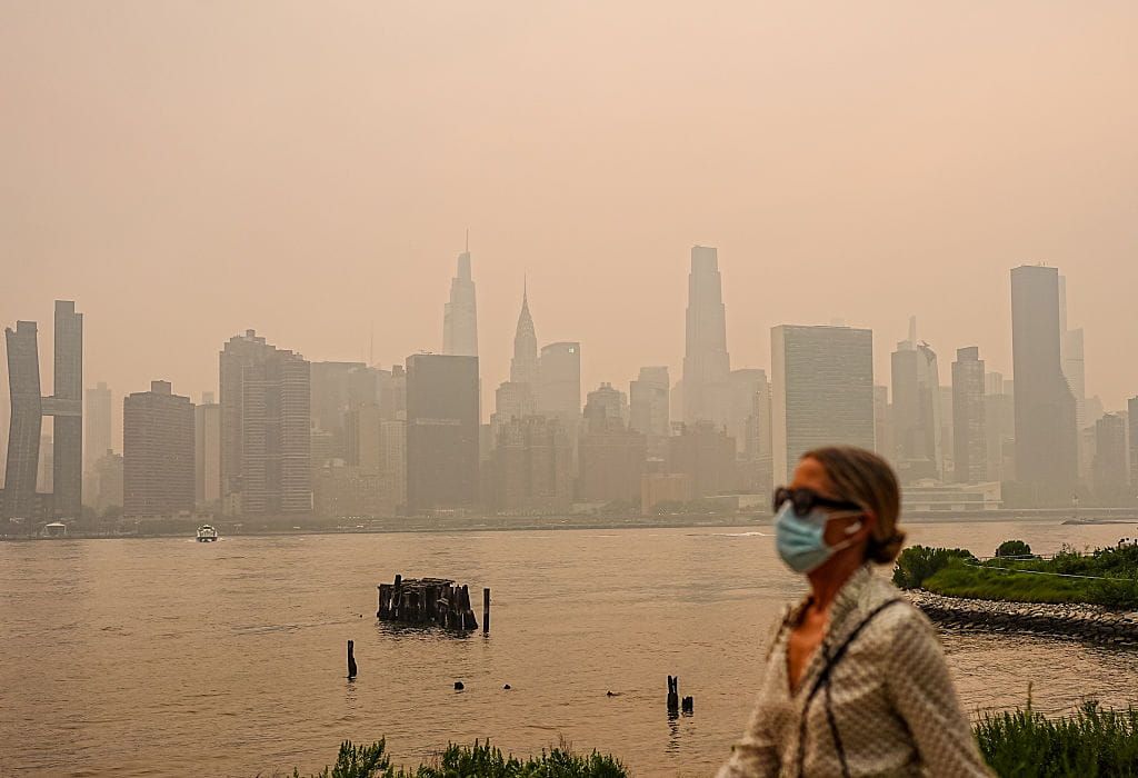 High on Health: Your Environment May Increase the Risk of Alzheimer's