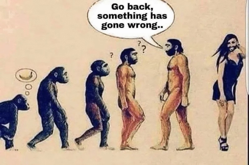 Daily Political Memes Daily Political Memes